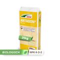 DCM Antagon