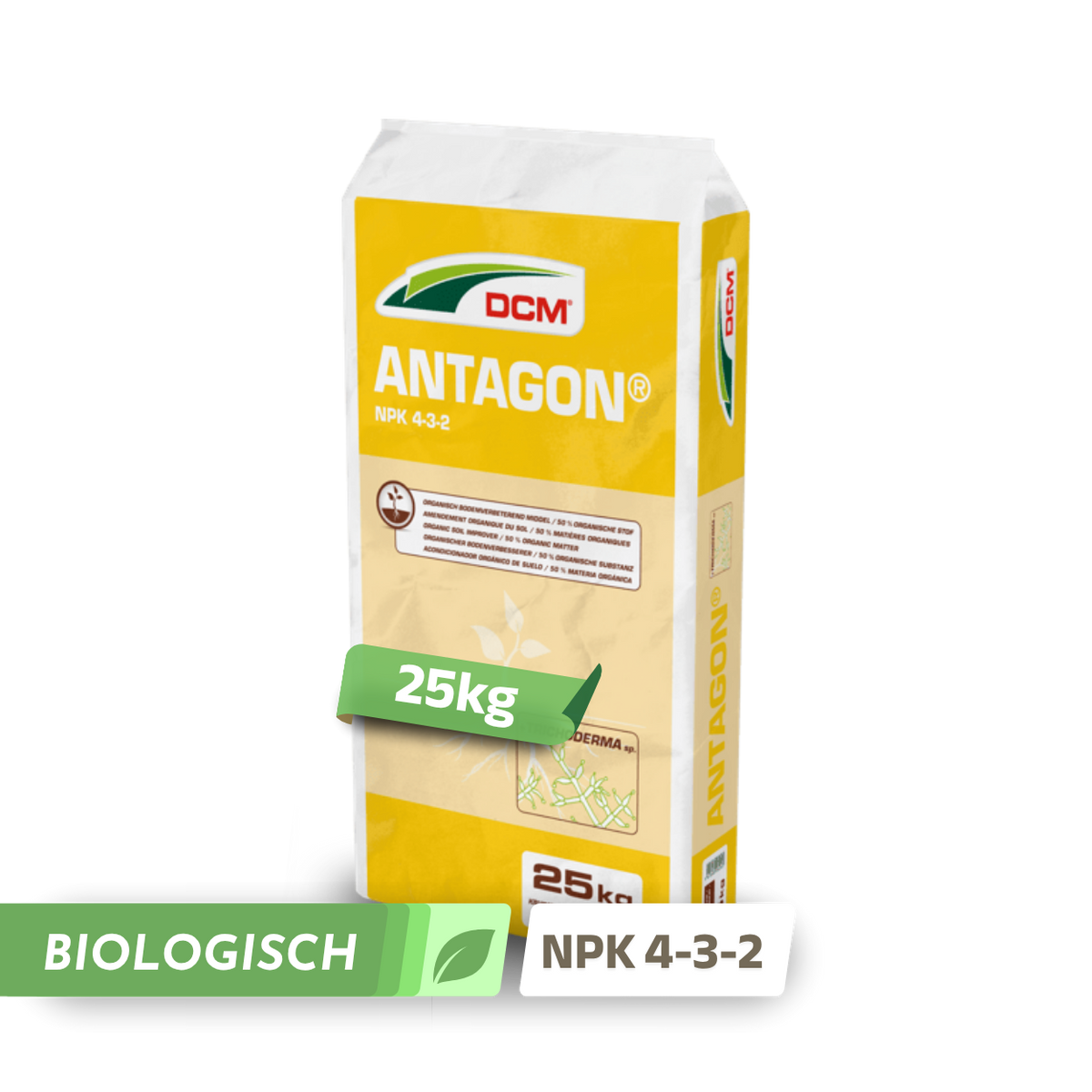 DCM Antagon