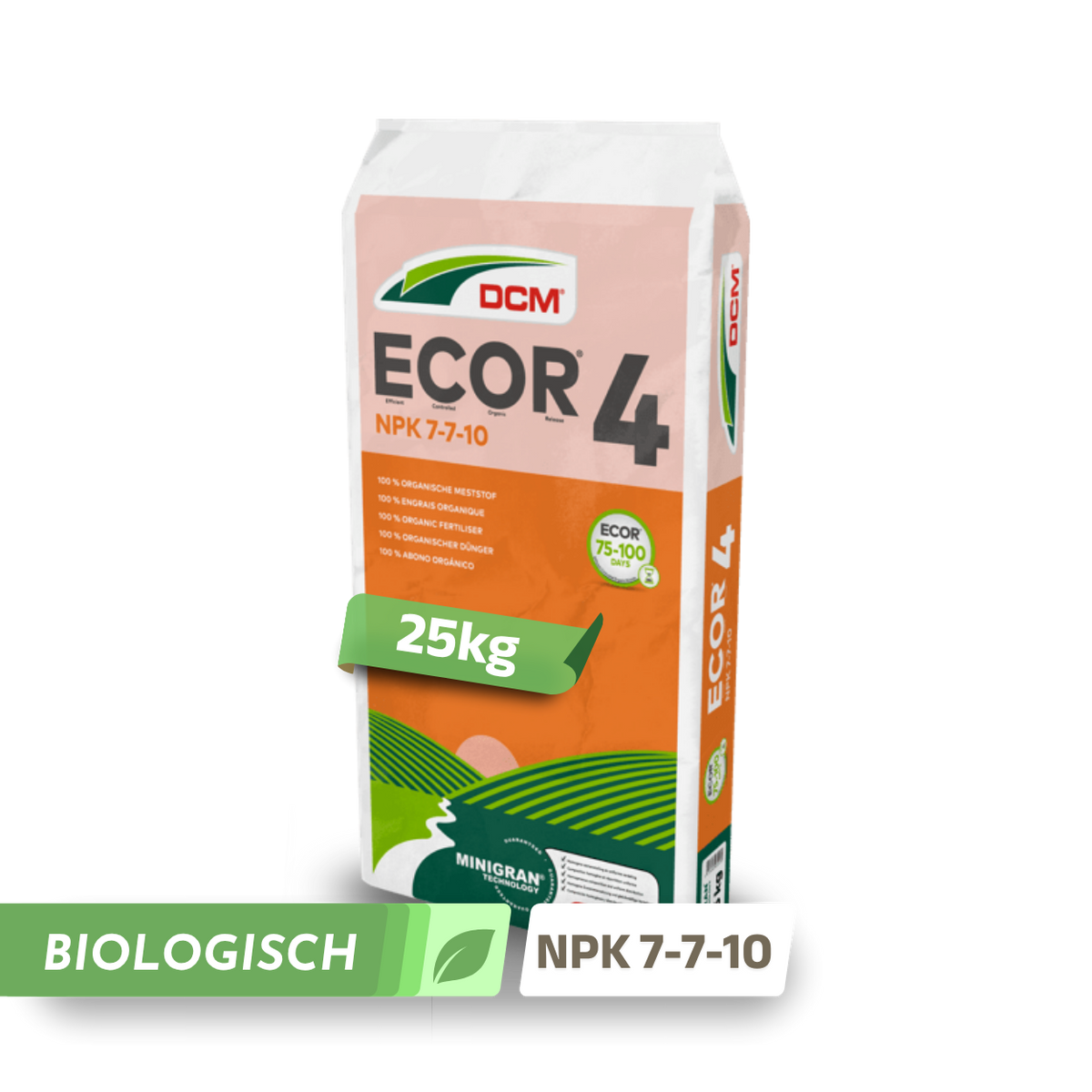 DCM Ecor 4