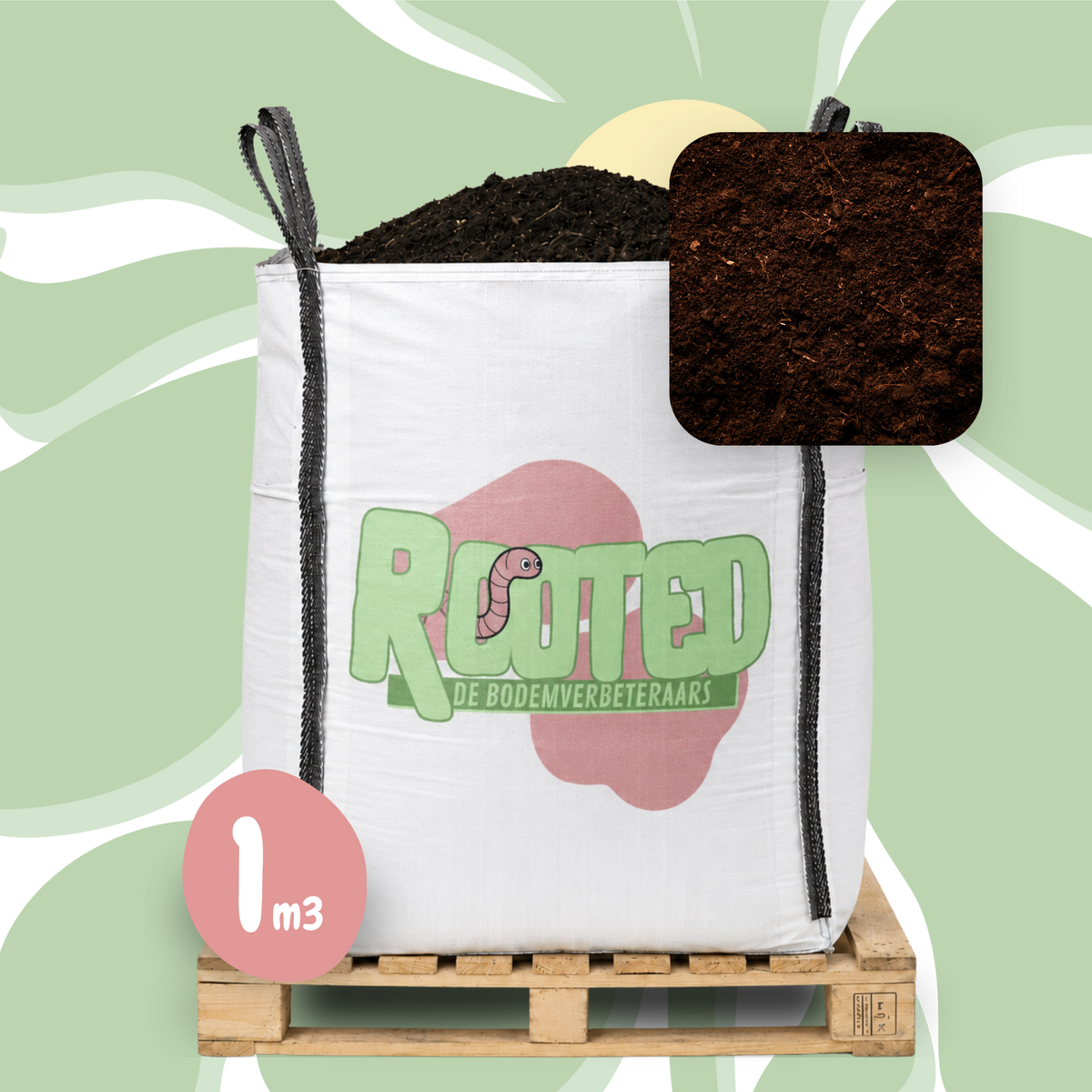 Rooted Plant - Aanplantgrond