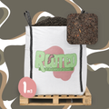 Rooted Peat
